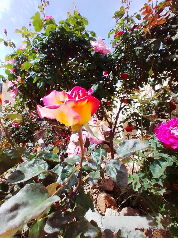 Las/Rosas Orgaz 外观 照片